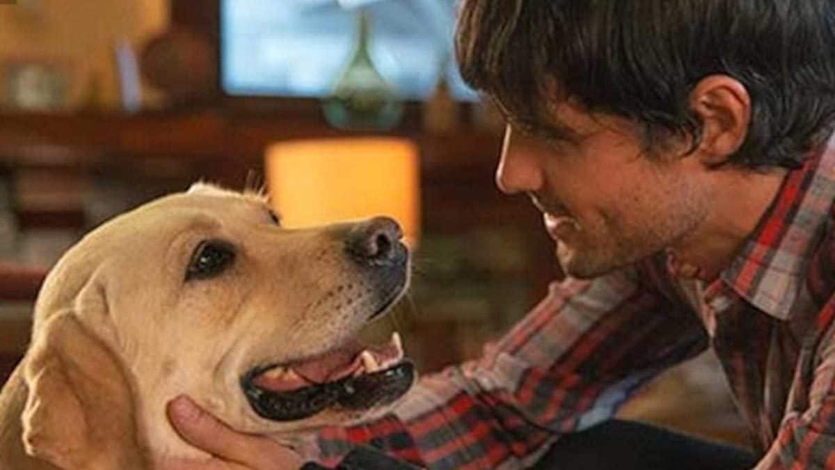 This Man And His Beloved Labrador Were Diagnosed With Kidney Cancer