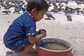 Viral Video Of Little Boy Helping Birds Drink Water Is Super Cute