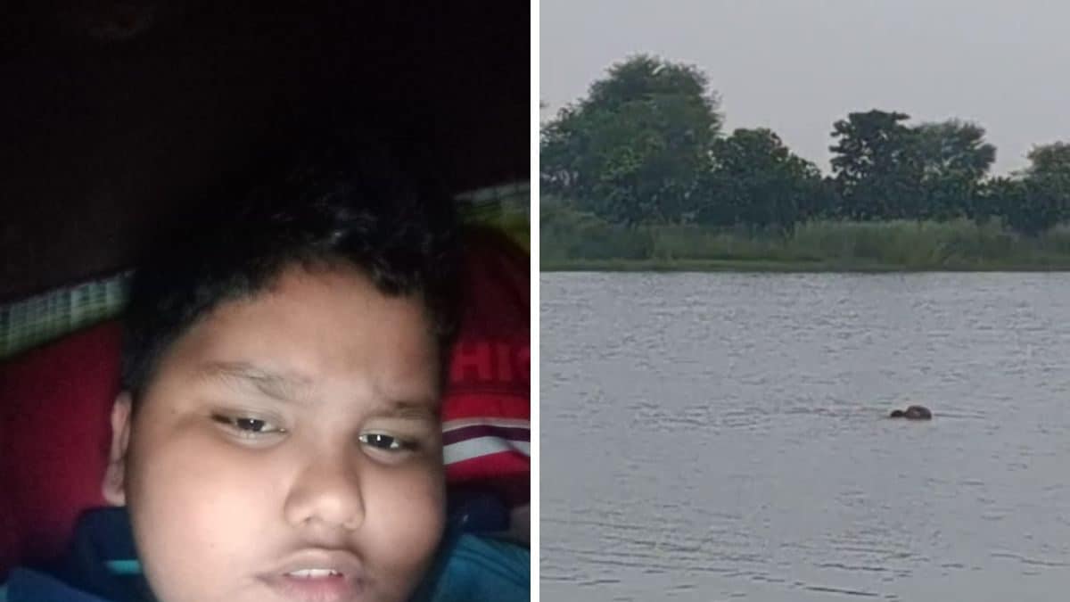 Odisha: Crocodile Drags, Kills 10-Year-Old Boy in Front of His Mother; Mutilated Body Recovered