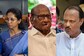 News18 Evening Digest: Sharad Pawar Makes Daughter NCP's New Working Prez and Other Top Stories
