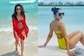 Rakul Preet Singh Sets Mercury Soaring In Sexy Bikinis During Maldives Holiday, See Her Gorgeous Pictures