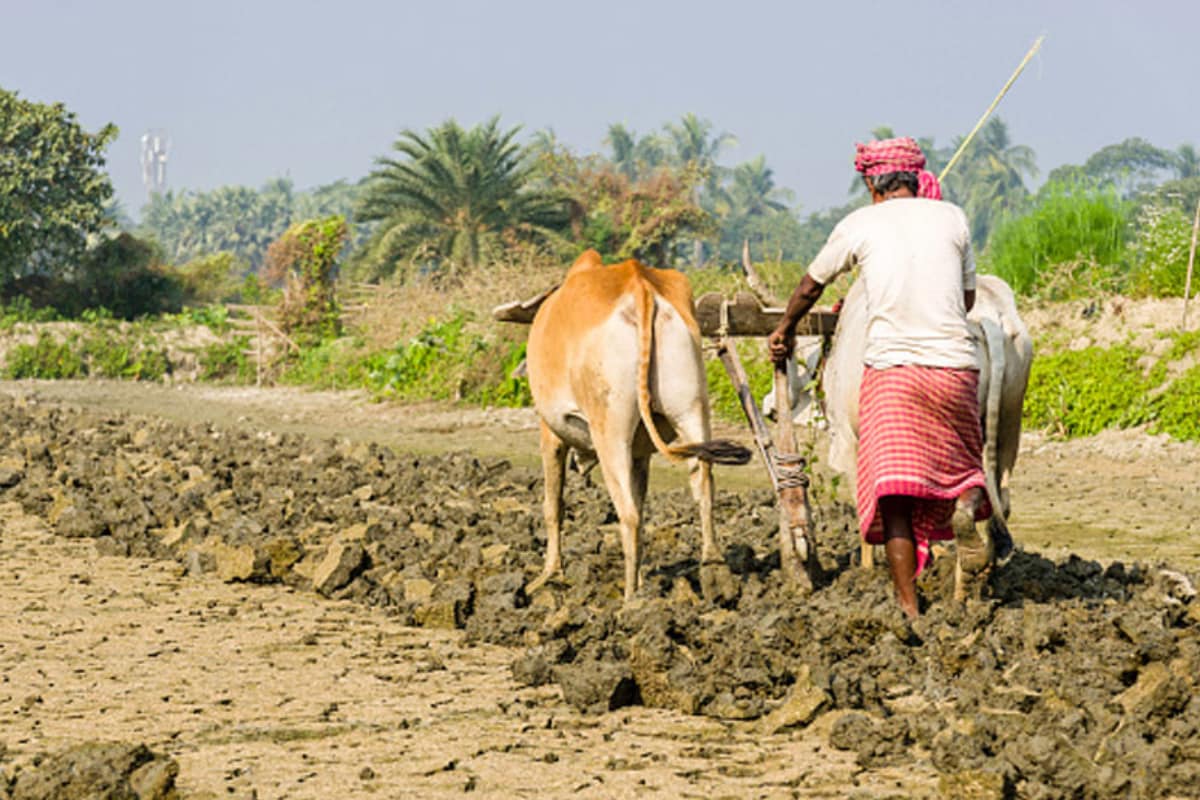 EC Asks Telangana Govt to Stop Aid to Farmers; BRS Blames Cong’s ‘Dirty Politics’