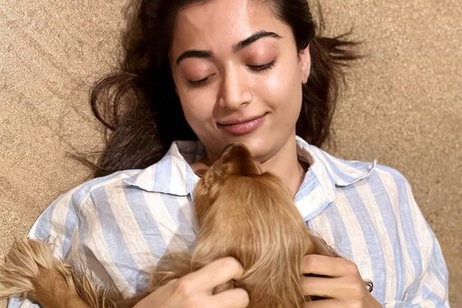 Rashmika Mandanna Brightens Up Our Sunday With Her Paw-Perfect Picture ...