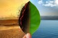 Greenhouse Gas Emissions At An All-Time High, Earth Warming Faster Than Ever: Report