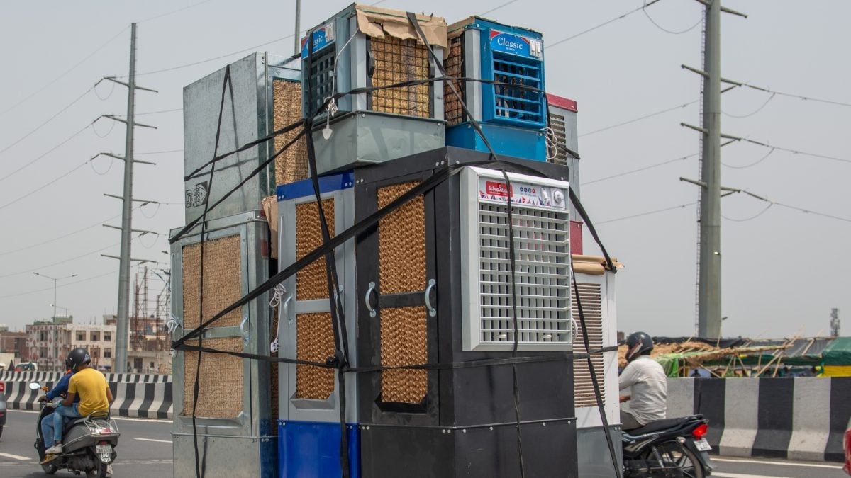 or Grass, Which Cooler is Best to Beat the Heat? News18