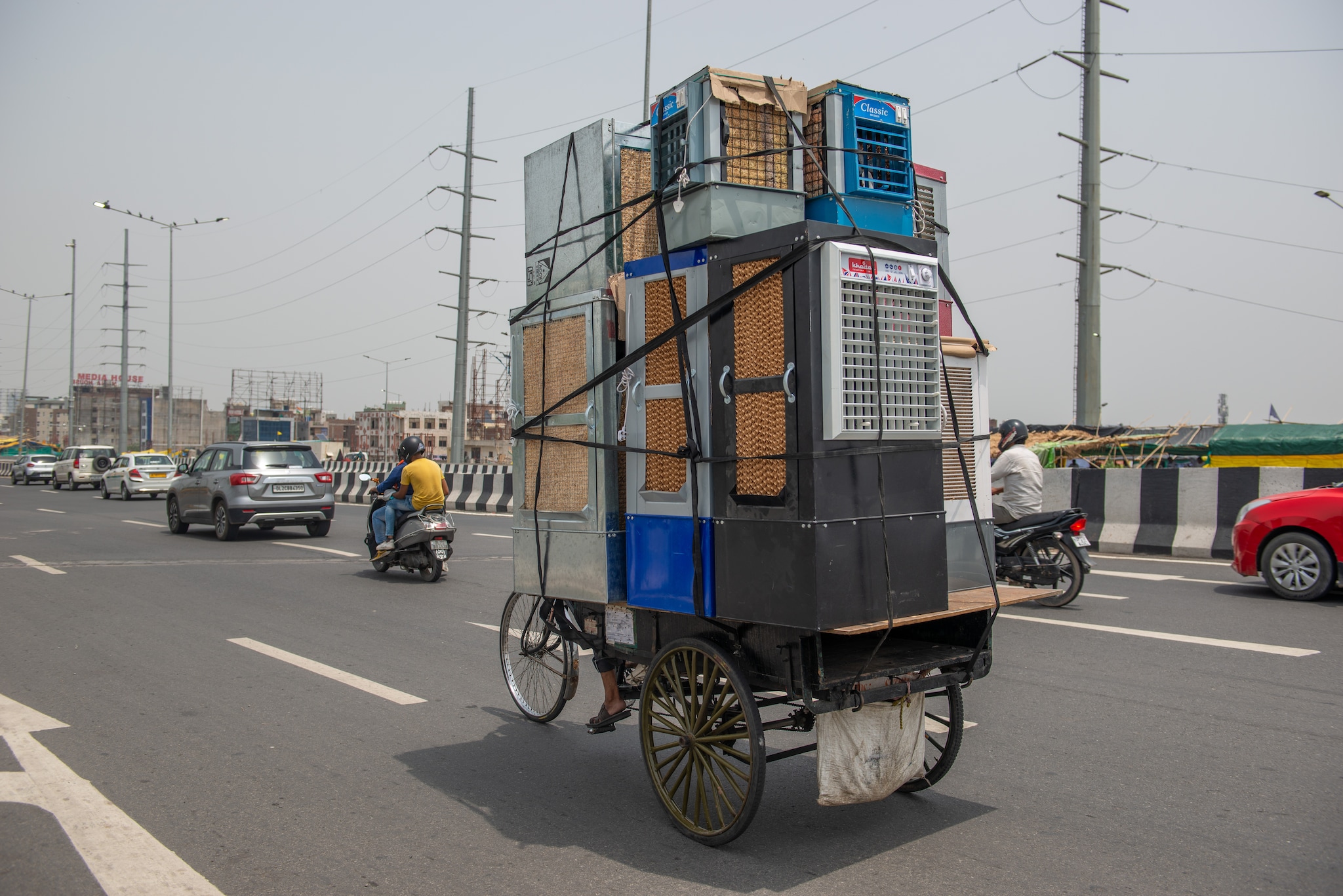 or Grass, Which Cooler is Best to Beat the Heat? News18