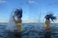Taapsee Pannu Turns Heads in Sexy Bikini, Takes A Dip in the Sea During Miami Vacay; Watch Video