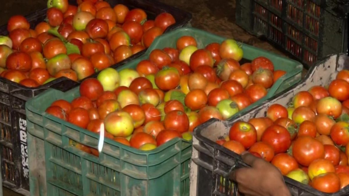 Bengaluru: Couple Hijacks Truck Carrying 2.5 Tonnes of Tomatoes By Faking Accident; Arrested