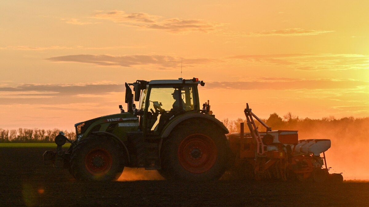 Russia Mulls Withdrawing from the UN Grain Deal: Here's Why - Vimarsana News