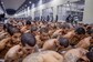 153 Prisoners Die In El Salvador Jail, The Cruelest In The World