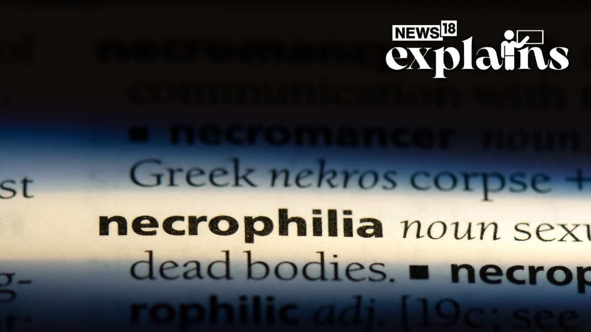 Dignity in Death: What's Necrophilia & Why Has K'taka HC Asked Govt to Make it Criminal Offense?