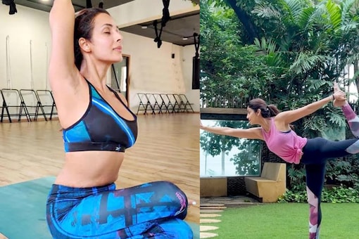 Both Malaika and Shilpa give us some amazing fitness goals with their amazing videos and pictures. (Images: Instagram)