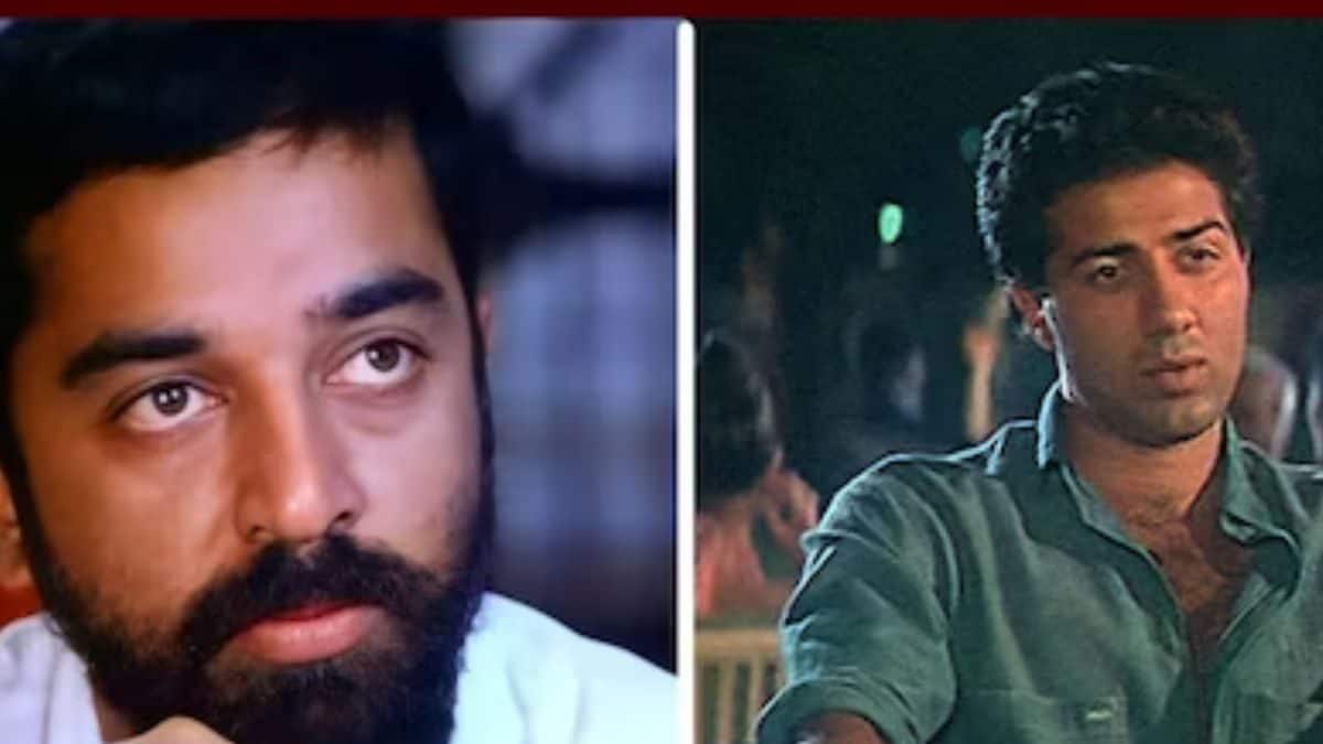 Know The Famous Actor Who Played Male Lead In Sunny Deol-starrer Arjun ...