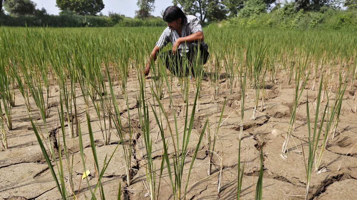 El Nino: Here's How it Could Impact Global Weather in 2023-24 - Vimarsana News