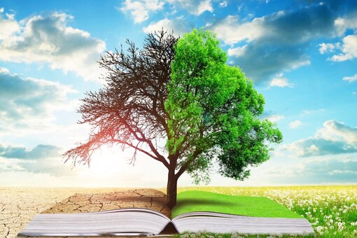 World Environment Day 2023: 10 Must-read Books on the Environment and