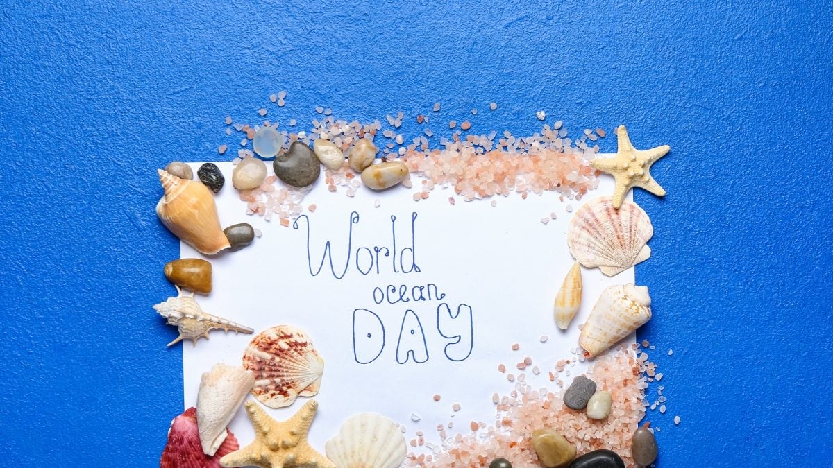 World Oceans Day 2023 Why is it Celebrated? History and Significance