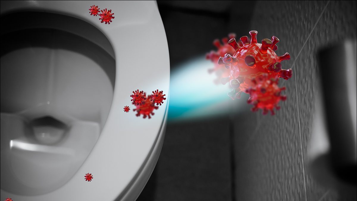 Preventing Germs and Maintaining Hygiene: Tips for Monsoon-Proof Toilets - Vimarsana News