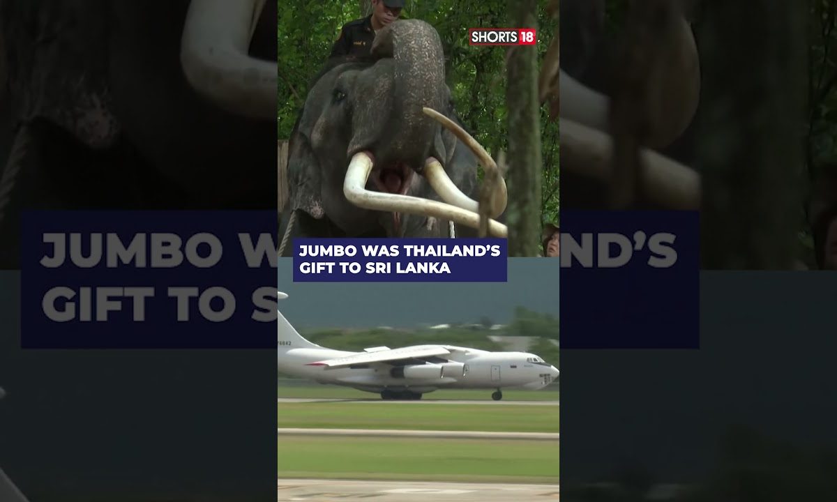 Ailing Elephant Arrives For Medical Treatment In Thailand From Sri