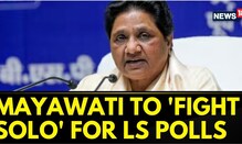 BSP Supremo Mayawati Says Party To Not Join Any Alliance And Will Fight Solo | English News