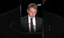 3 Dead In In Auckland Shooting, New Zealand PM Says Women's Football World Cup Safe