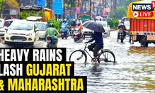 NDRF Deploys 12 Teams Across Maharashtra As Heavy Rainfall Continues |Gujarat Rain |Maharashtra Rain
