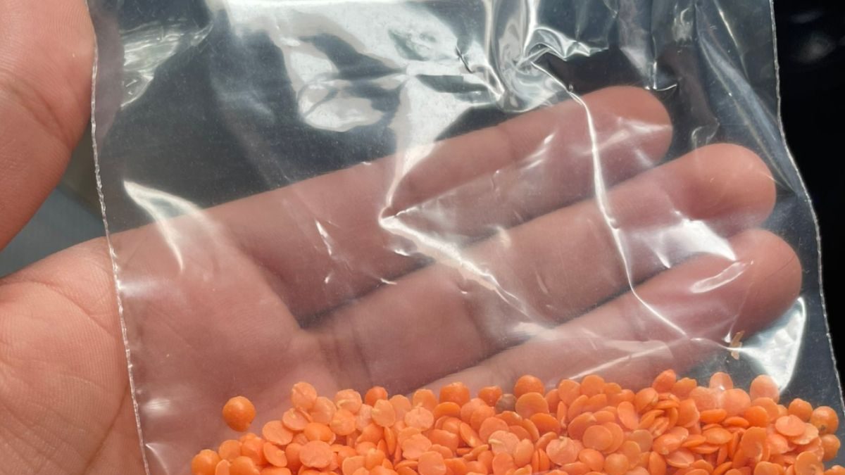 Mom Giving 'Daal Sample' to Son Going Grocery Shopping is Such a Mom Move and Twitter Agrees - Vimarsana News