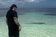 Watch: WWE Icon Undertaker Scares Away Sharks From Attacking His Wife Michelle McCool Watch: WWE Icon Undertaker Scares Away Sharks From Attacking His Wife Michelle McCool