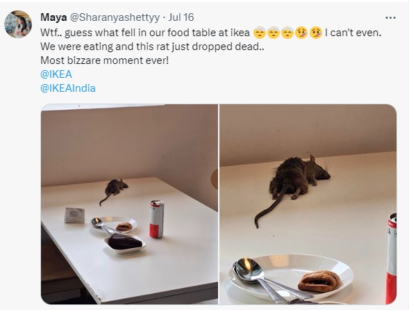 Bengaluru IKEA Apologises After Customer's Viral Tweet Shows Dead Rat ...
