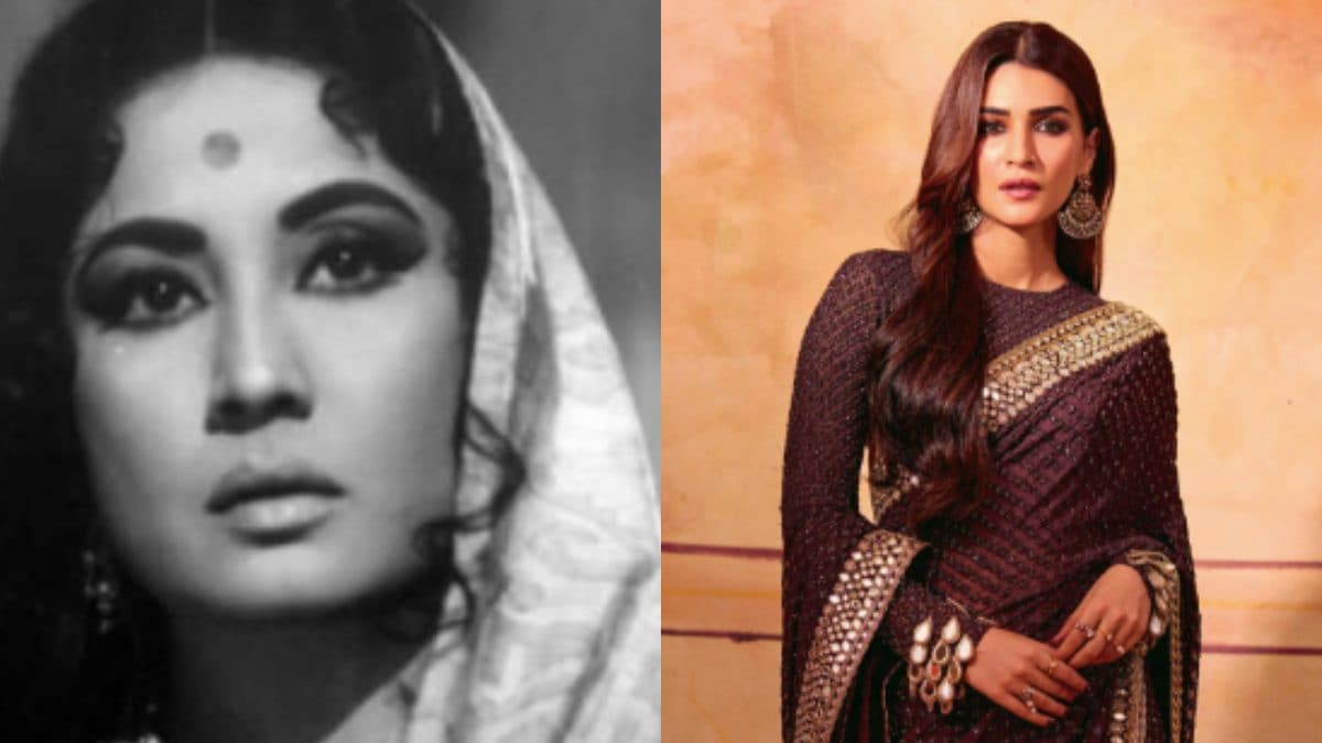 meena-kumari-s-stepson-tajdar-amrohi-reacts-to-late-actress-biopic