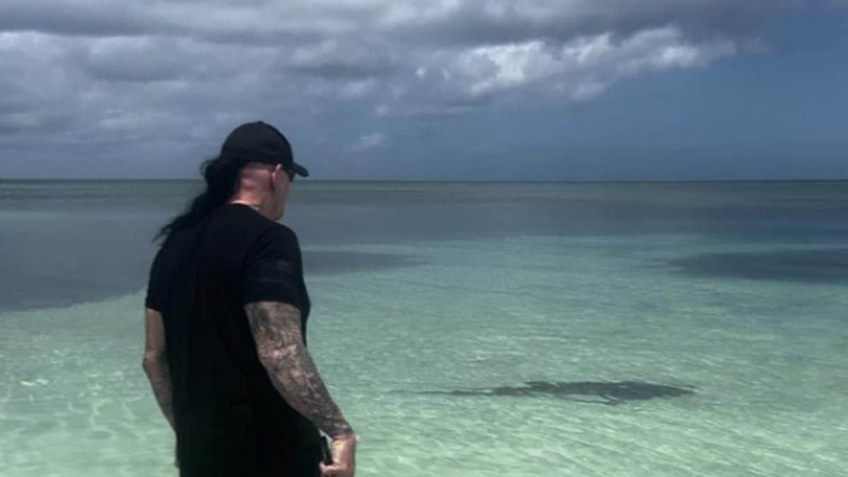 It Was The Undertaker Vs Shark — Can You Guess Who Won?