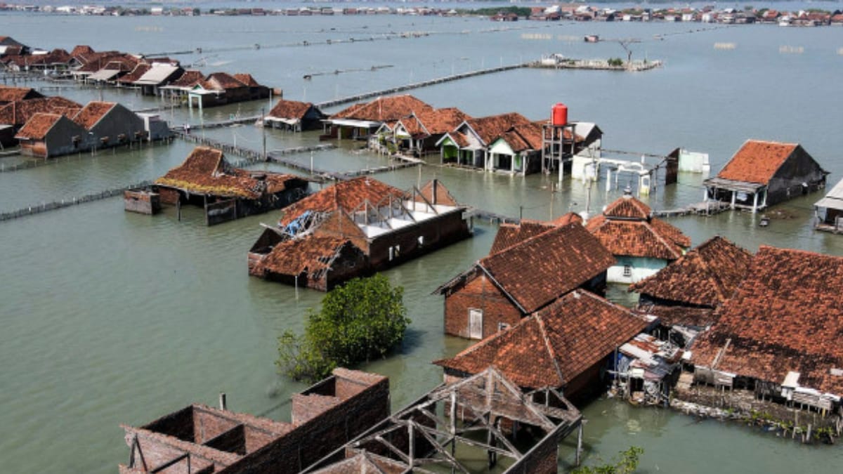 'Slow Disaster': Indonesians in Sinking Village Forced to Adapt | Viral ...