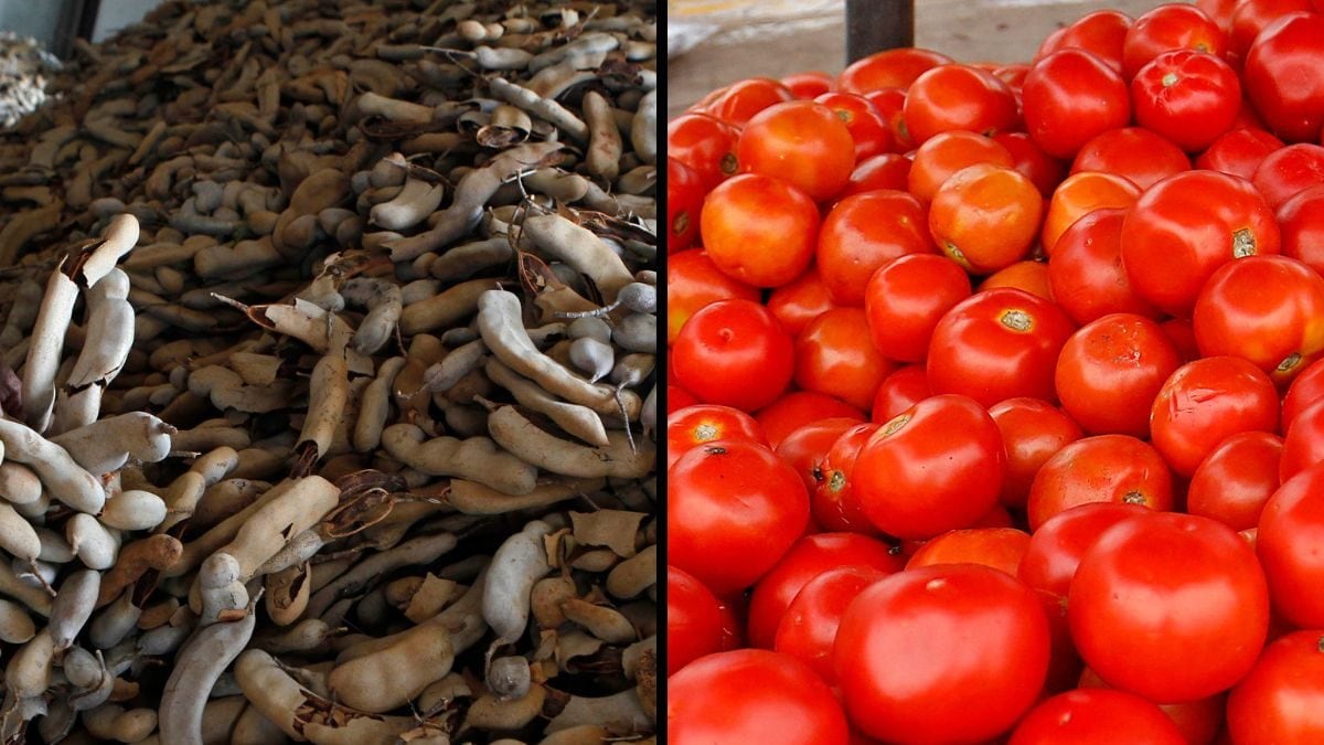 Tamarind Demand Surges Amid Tomato Crisis in India, Prices Reach All-Time High