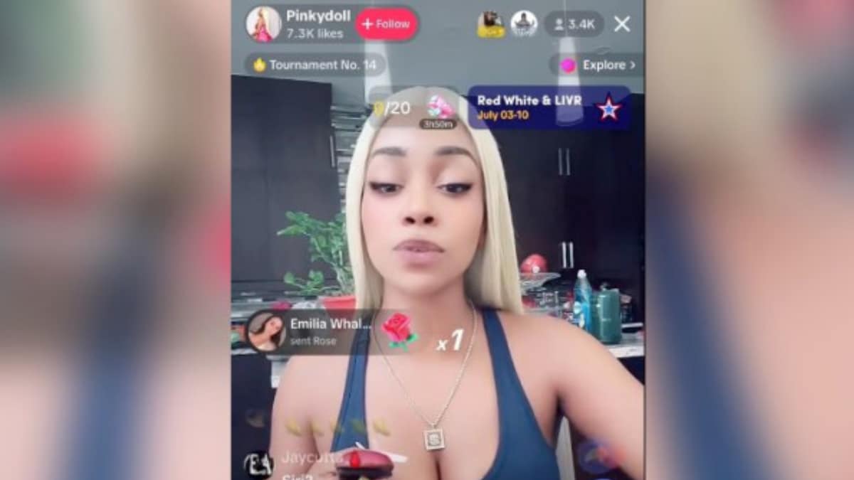 Viral TikTok NPCs like Pinkydoll, Cherry Crush, Ohio Queen and nerdywinter  make thousands via livestreams