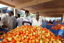 'Tomato Tombola' Turns Karnataka Farmers Crorepatis as Prices of Red Hot Crop at All-time High 'Tomato Tombola' Turns Karnataka Farmers Crorepatis as Prices of Red Hot Crop at All-time High