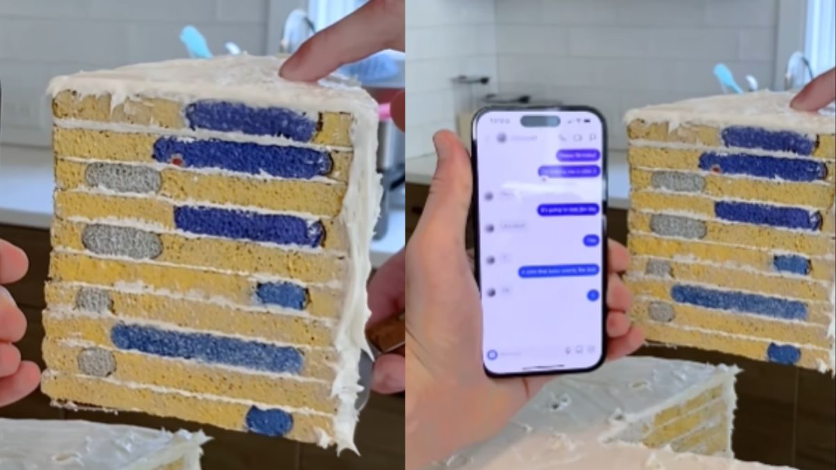 Cake That Looks Like Instagram Chat: Man’s Surprise For Friend He Met Online Impresses Internet – News18