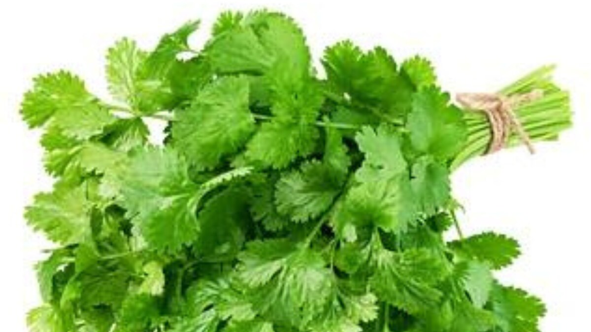 Here Is Why You Possibly Dislike The Taste Of Coriander, Details Inside