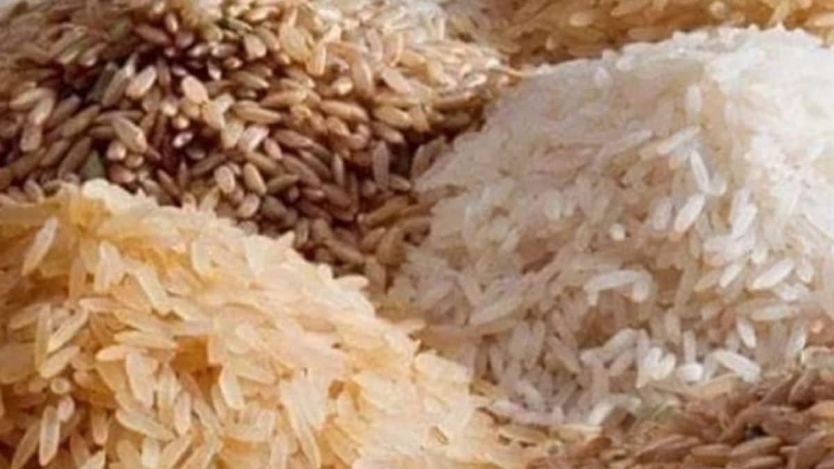 केंद्र ने कुछ मामलों में अपवाद बनाते हुए गैर-बासमती सफेद चावल के निर्यात पर प्रतिबंध लगाया – News18