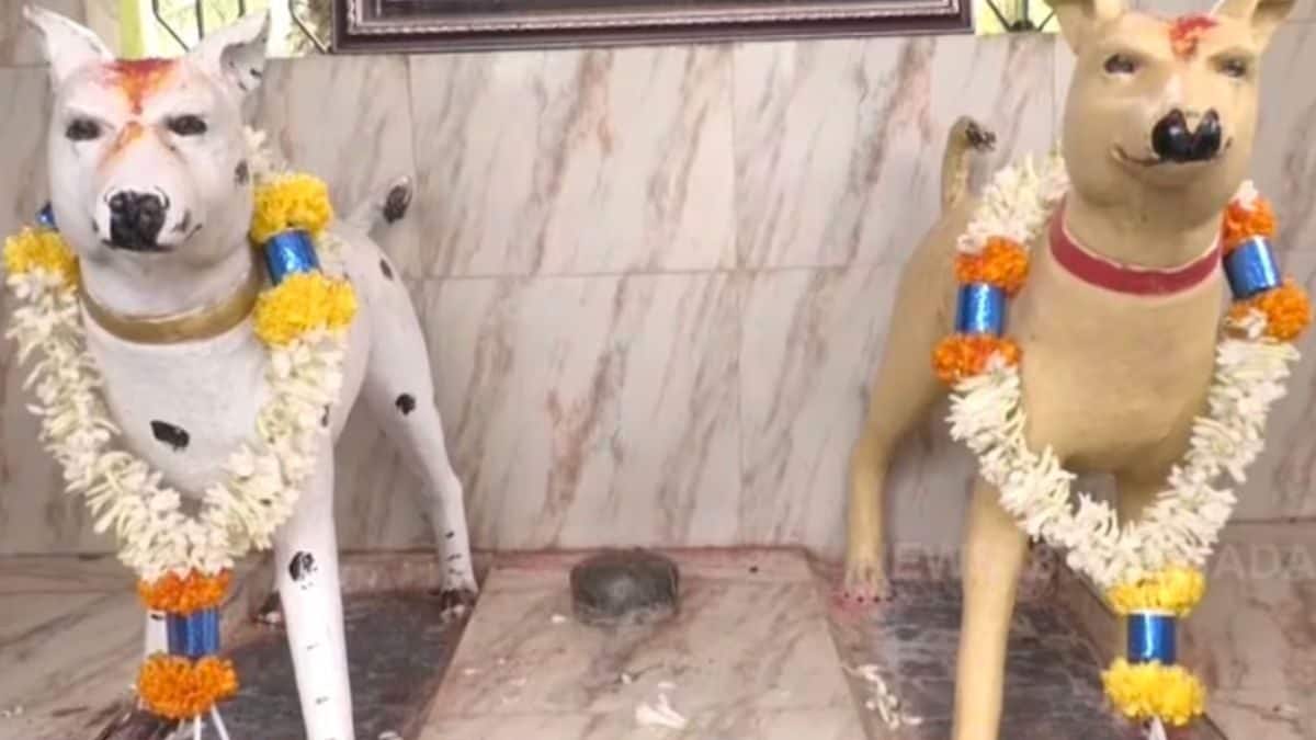 In Kanataka's Agrahara Valagerehalli Village, Devotees Pray To Dog Idols - Vimarsana News