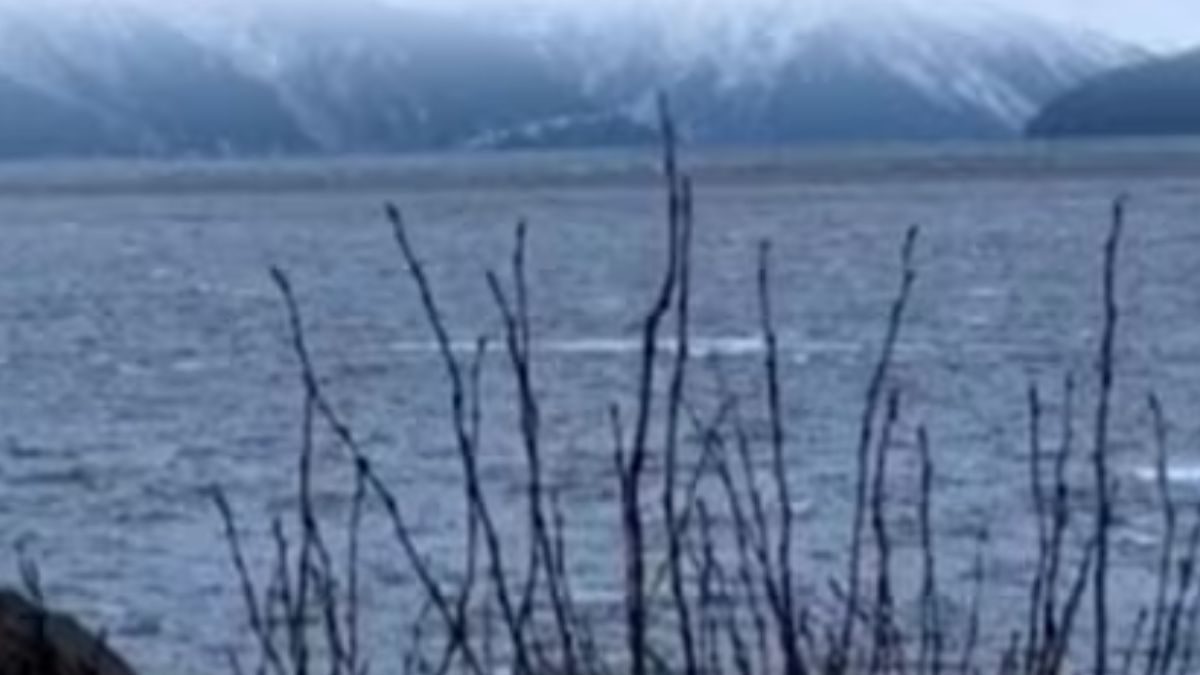 Watch: Why This River Halts As The Humans Move Around It | Viral News ...