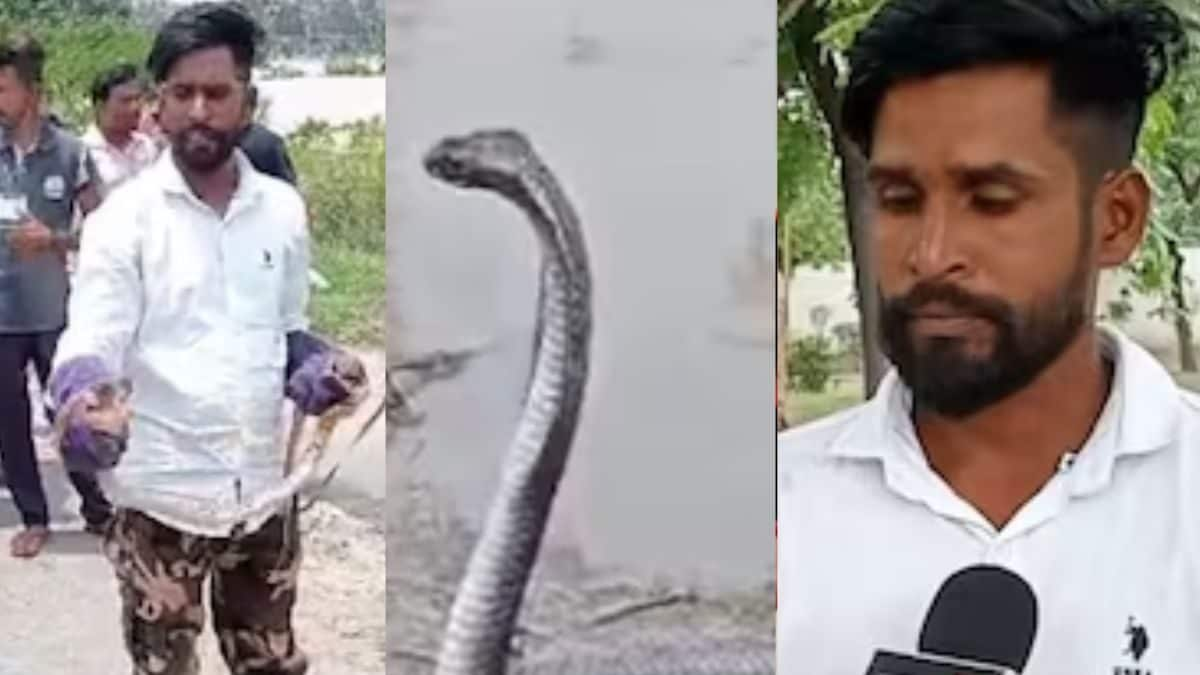 Bitten 9 Times, This Snake Rescuer Saves Reptiles Without Charging Any ...