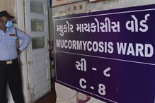 Deaths from Covid-linked Fungal Infections More than Non-Covid, Hospitalisations Increased in 2019-21: CDC