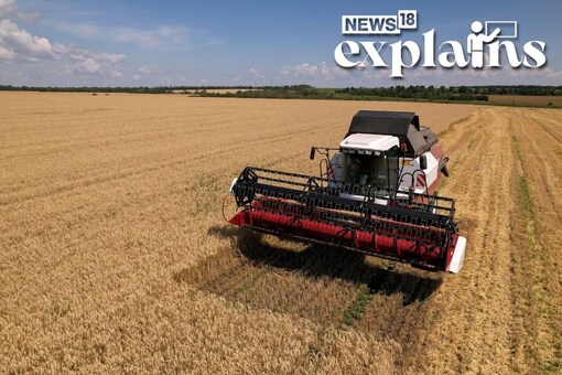 A combine harvests wheat in a field in the course of Russia-Ukraine conflict near Luhansk, Russian-controlled Ukraine, July 18, 2023. REUTERS/Pavel Klimov

