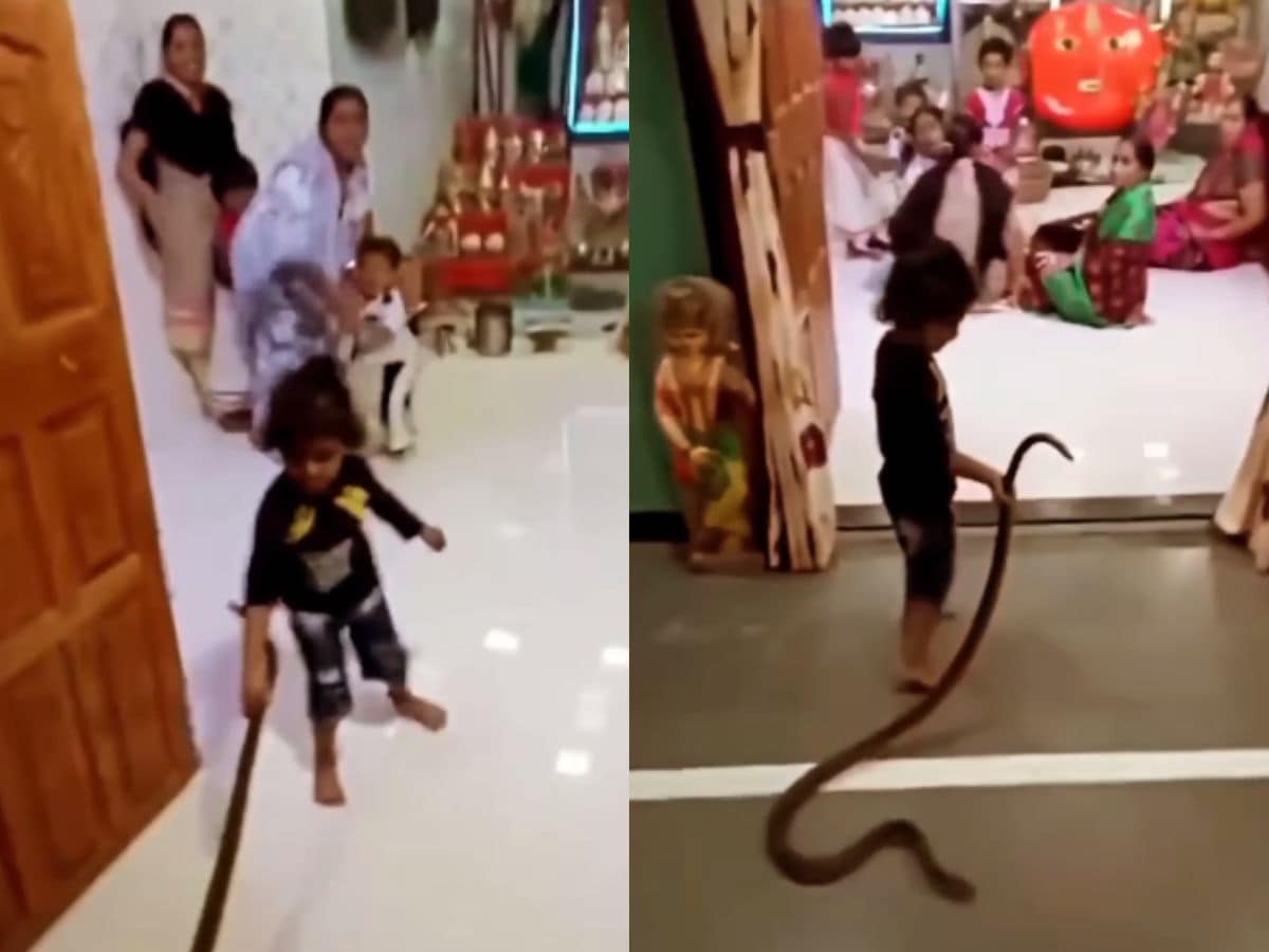 Kid plays with snake, What is this kid playing with?! 😱😱, By Daily Mail