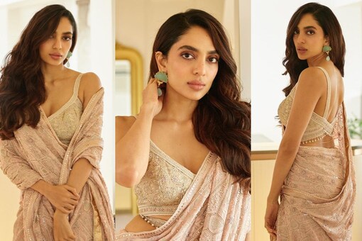 Sobhita Dhulipala dresses in a pale pink saree to divine perfection. (Images: Instagram)