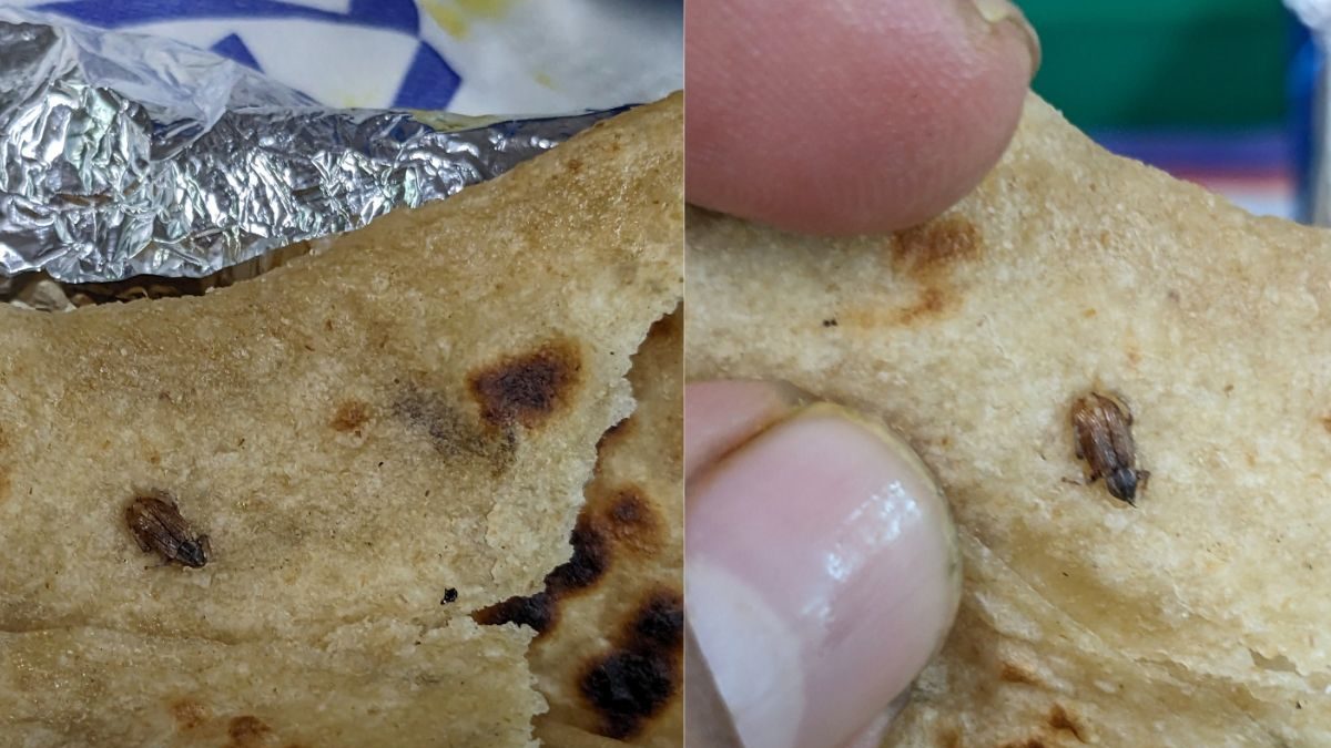 Passenger Finds Cockroach in Meal Served on Vande Bharat Express, IRCTC Responds - Vimarsana News