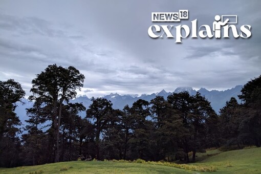 The Forest (Conservation) Amendment Bill 2023 was passed after a brief debate in Lok Sabha on Wednesday. (PTI Photo)