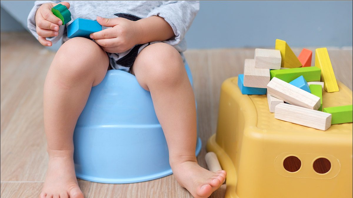 Hygiene Heroes: How Teaching Kids about Toilet Sanitation Empowers Them for Life - Vimarsana News