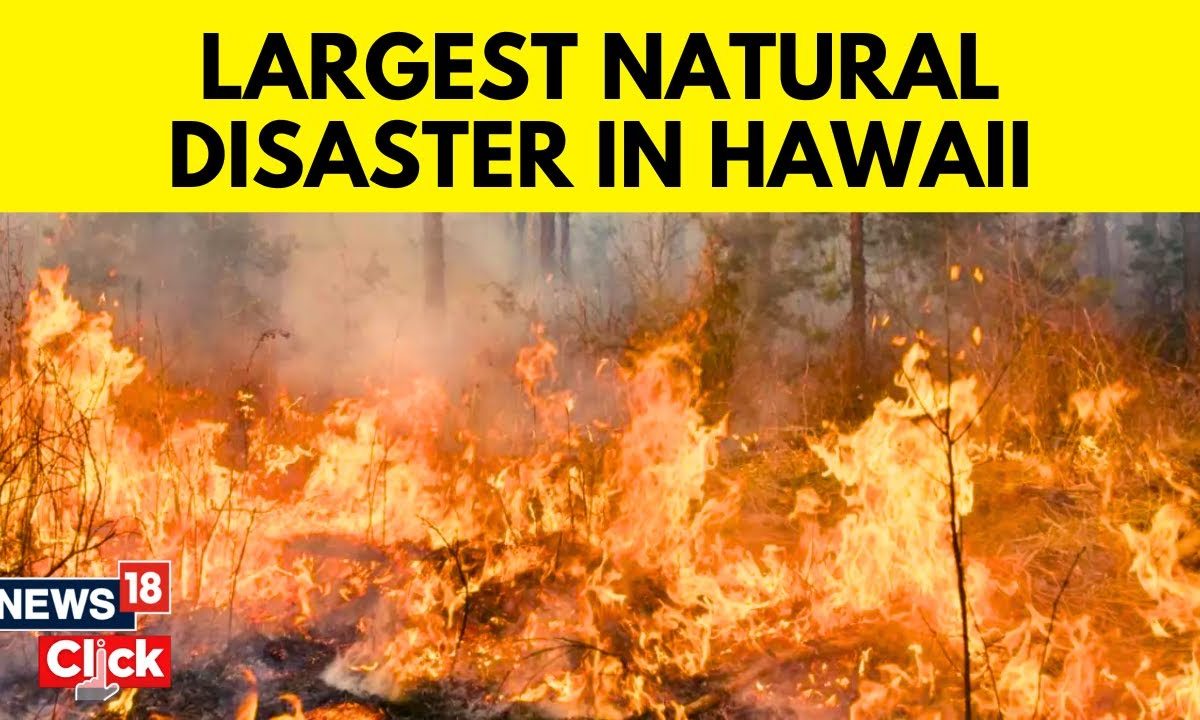 Hawaii Wildfires Wildfire On Maui Kills At Least 53 Hawaii News Now
