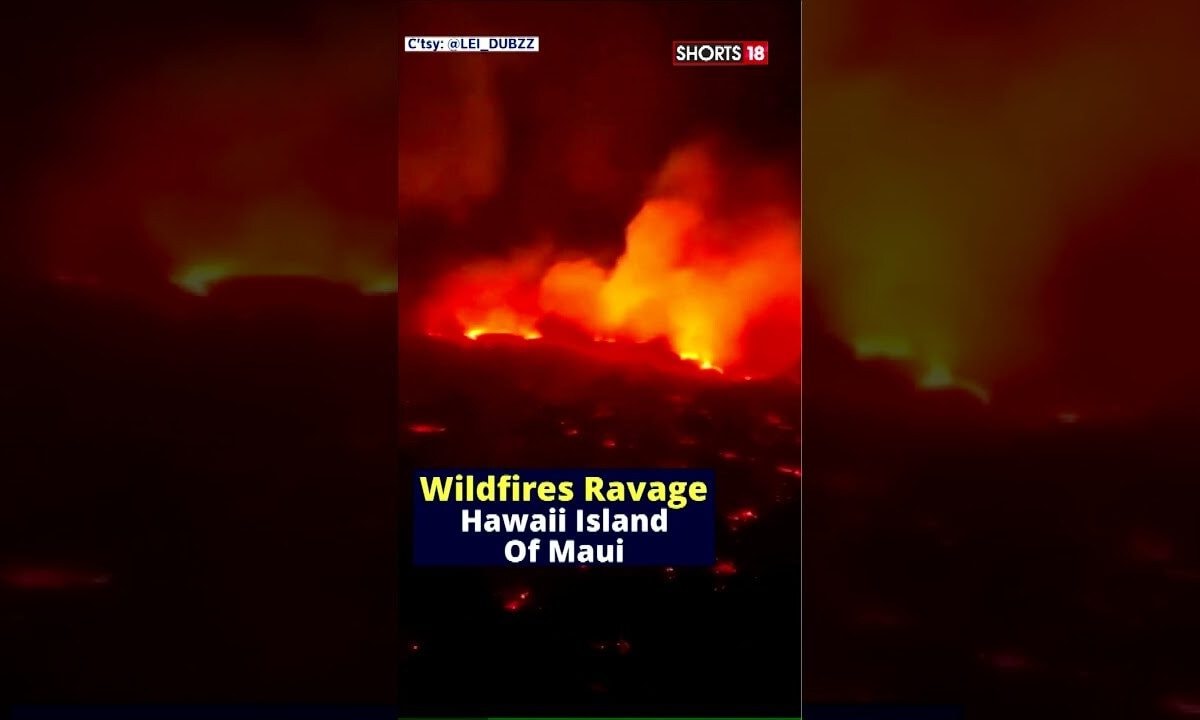 Maui Wildfires News Wildfire Devastate Maui Hawaii Hawaii