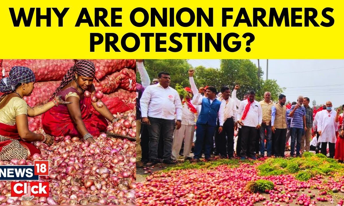 Onion Price Today News Maharashtra Farmers Protest Against Centre's